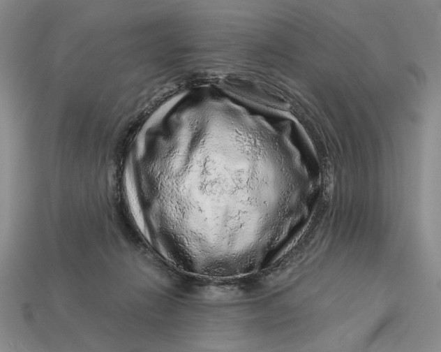 X0000112900270200909111531