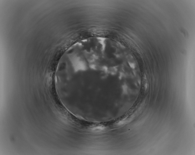 X0000112900271200909111531