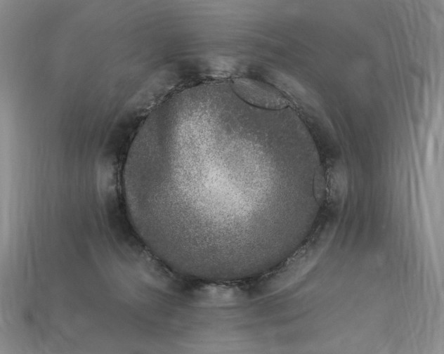 X0000112900272200909111531