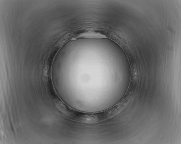 X0000112900275200909111531