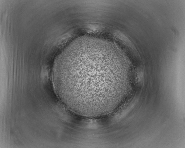X0000112900276200909111531