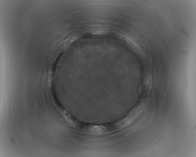 X0000112900277200909111531