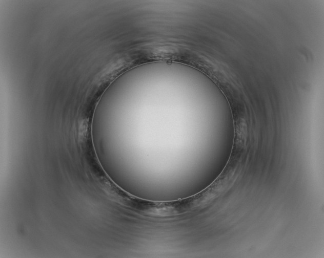X0000112900278200909111531