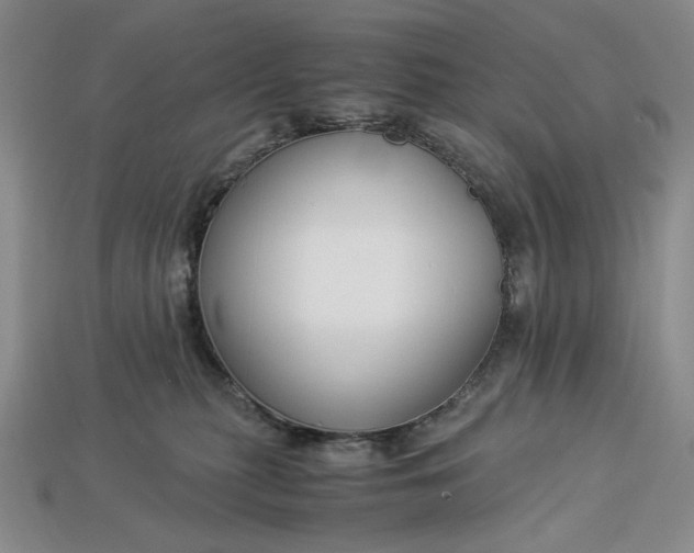 X0000112900279200909111531