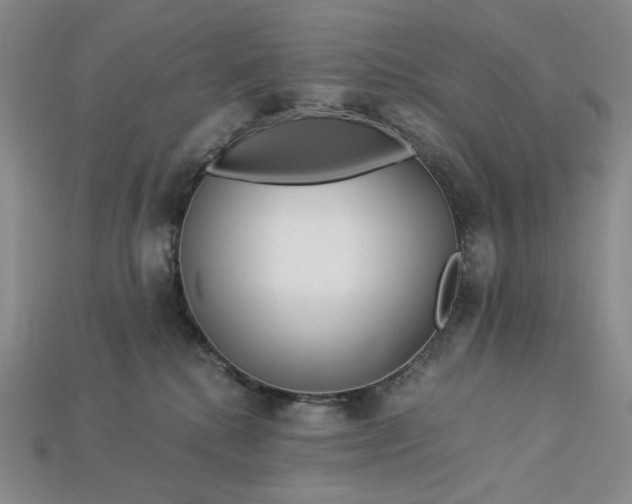 X0000112900280200909111531