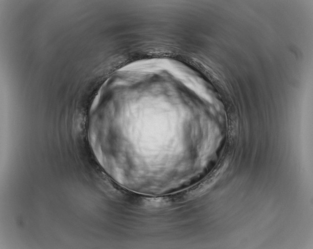 X0000112900281200909111531
