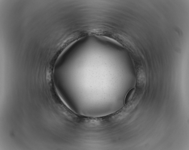 X0000112900282200909111531