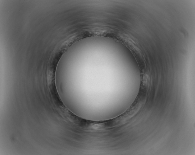 X0000112900283200909111531