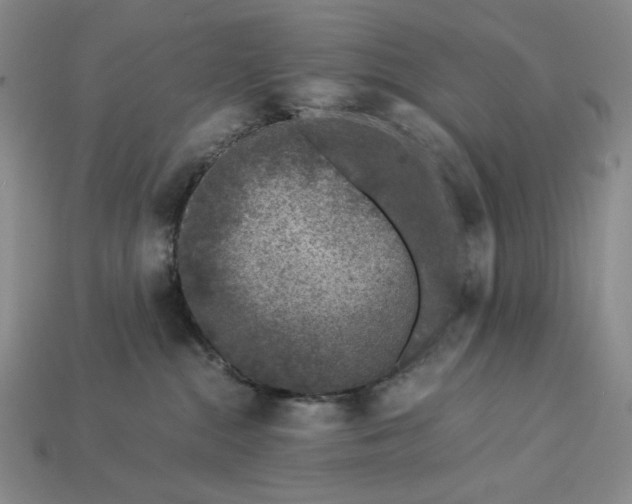 X0000112900284200909111531