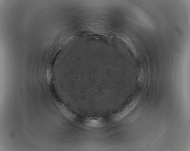 X0000112900285200909111531