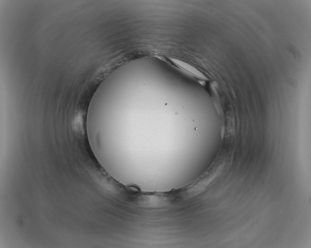 X0000112900286200909111531