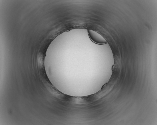 X0000112900287200909111531