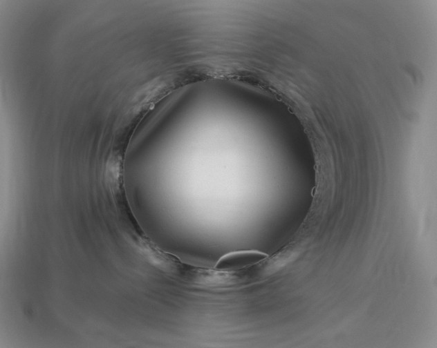X0000112900288200909111531