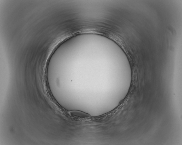 X0000112900289200909111531