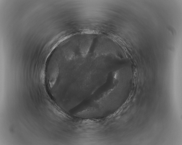 X0000112900290200909111531