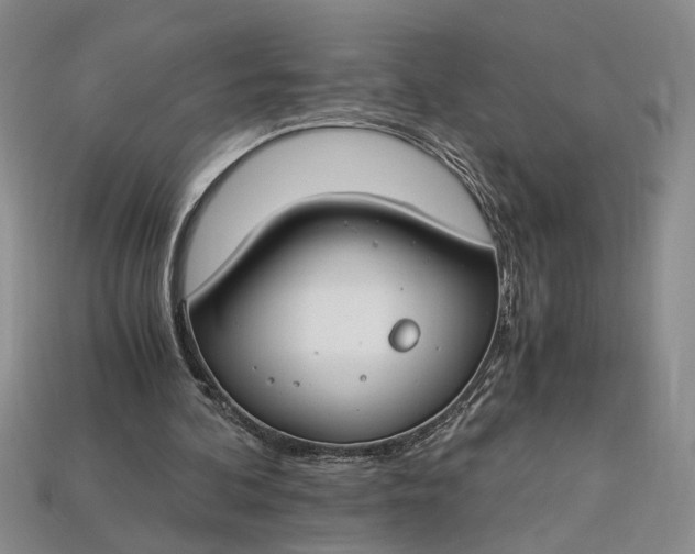 X0000112900292200909111531