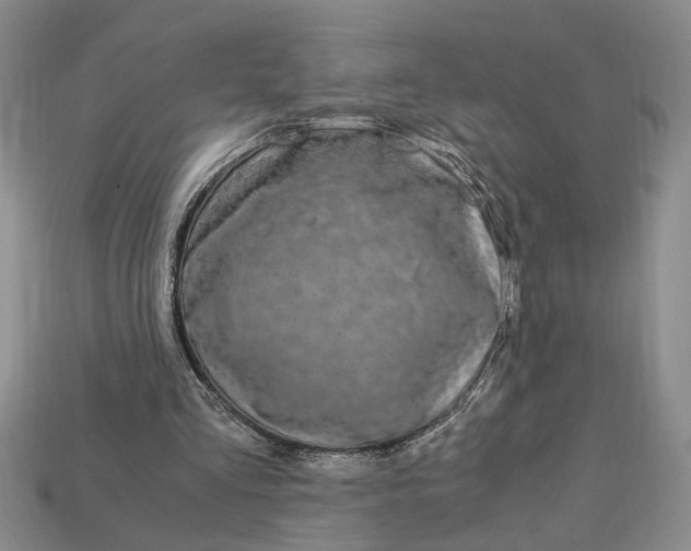 X0000112900293200909111531