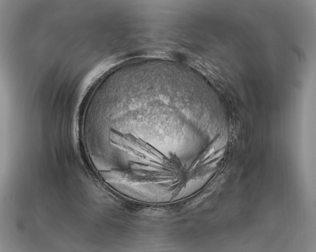 X0000112900294200909111531