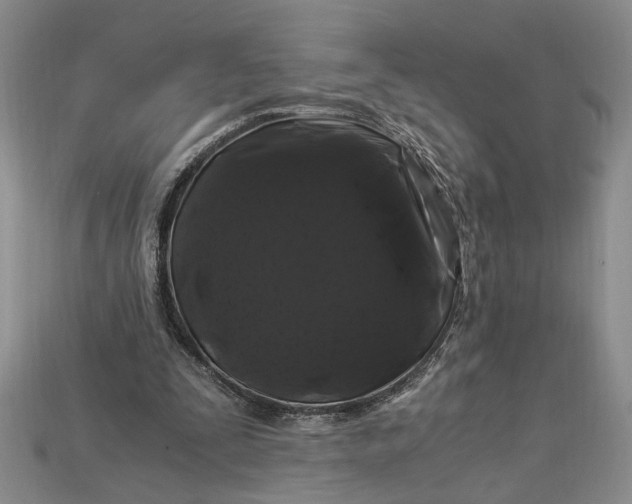 X0000112900295200909111531