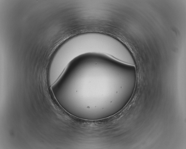 X0000112900297200909111531