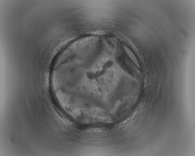 X0000112900299200909111531