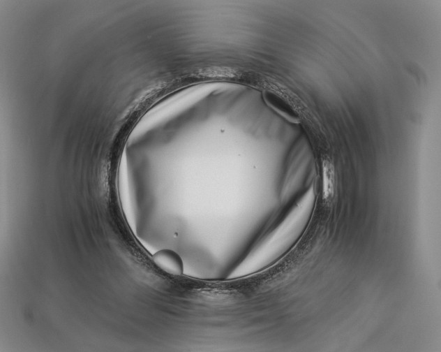 X0000112900300200909111530