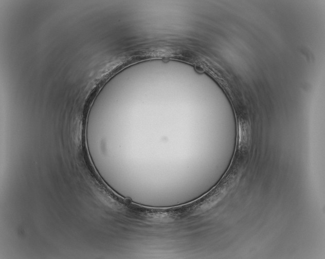 X0000112900301200909111530
