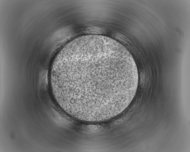 X0000112900302200909111530