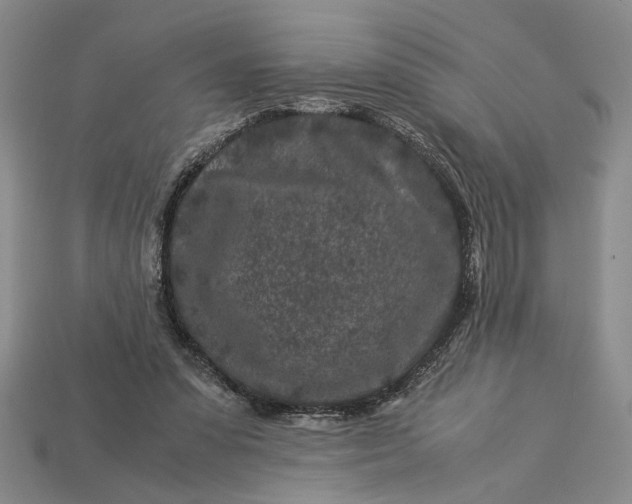 X0000112900303200909111530