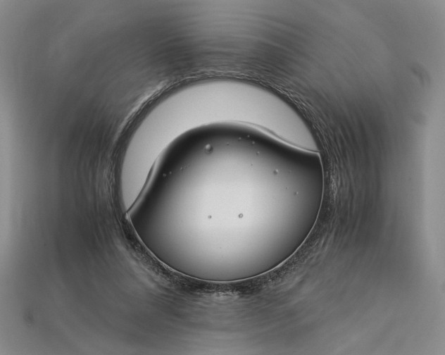 X0000112900304200909111530