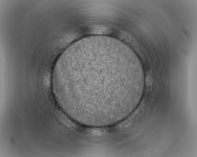 X0000112900305200909111530