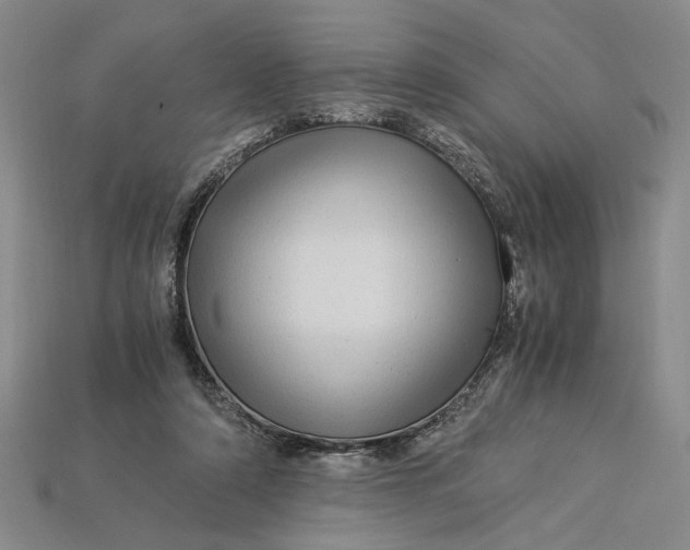 X0000112900306200909111530