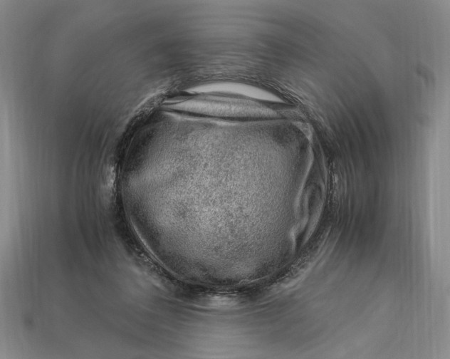 X0000112900308200909111530
