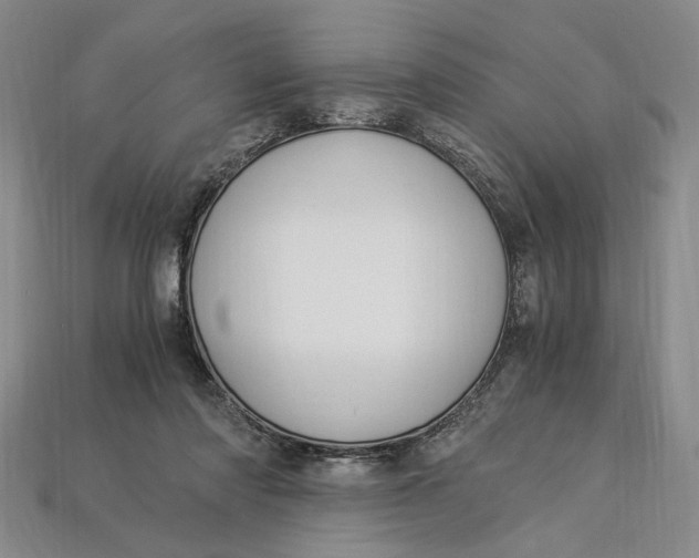 X0000112900310200909111530