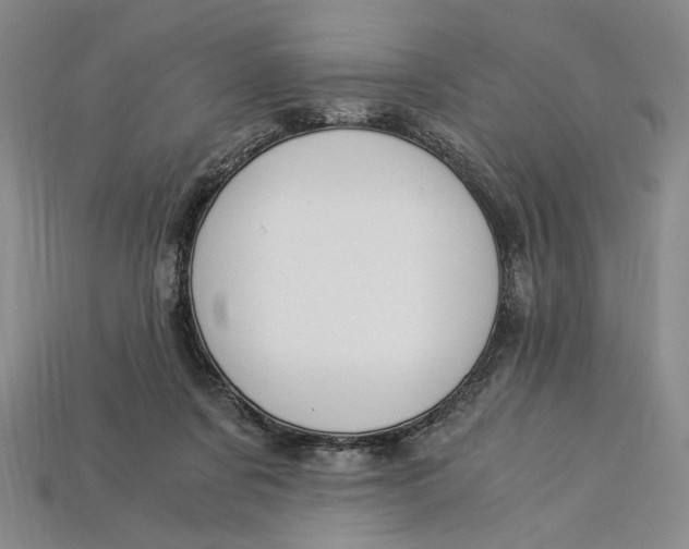 X0000112900311200909111530