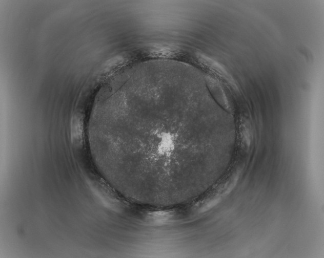 X0000112900312200909111530