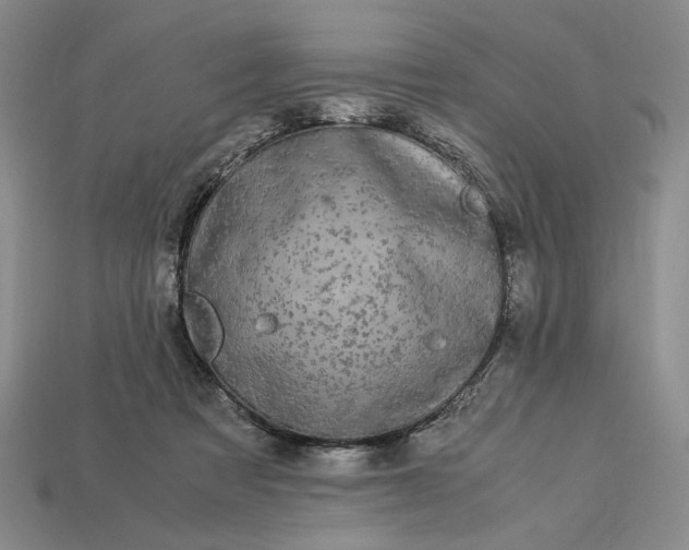 X0000112900313200909111530
