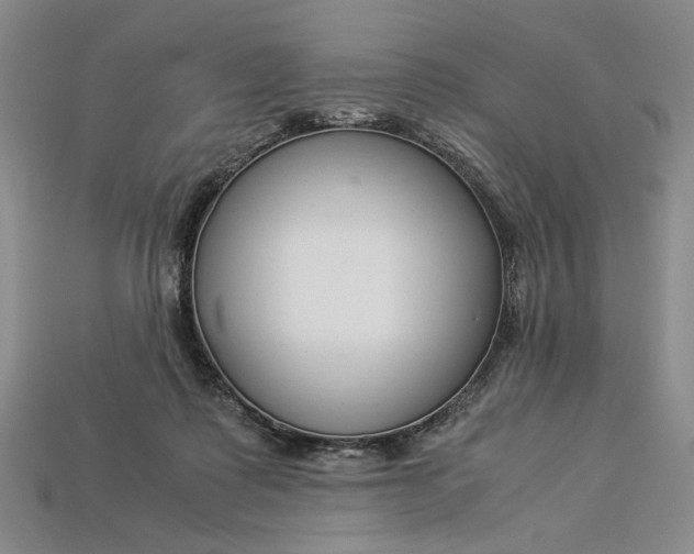 X0000112900315200909111530