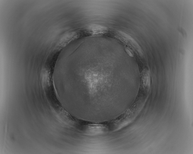 X0000112900316200909111530