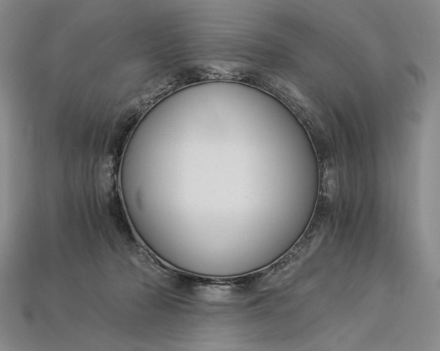 X0000112900318200909111530