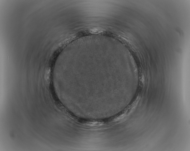 X0000112900319200909111530