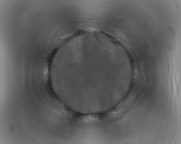 X0000112900320200909111530