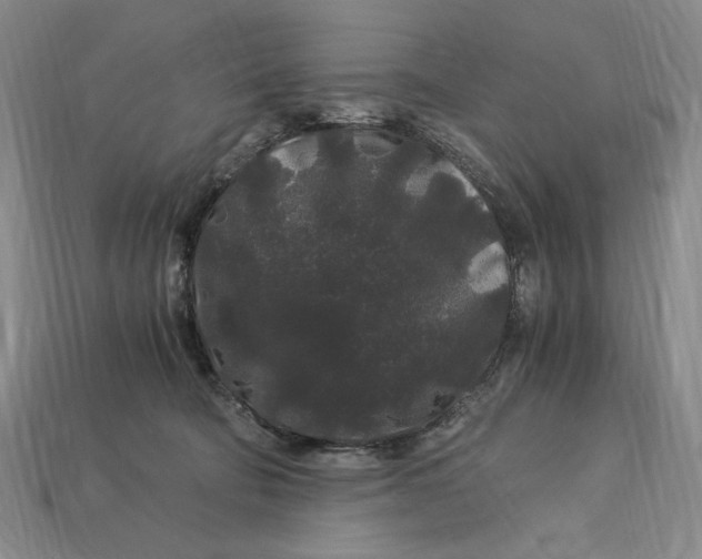 X0000112900322200909111530