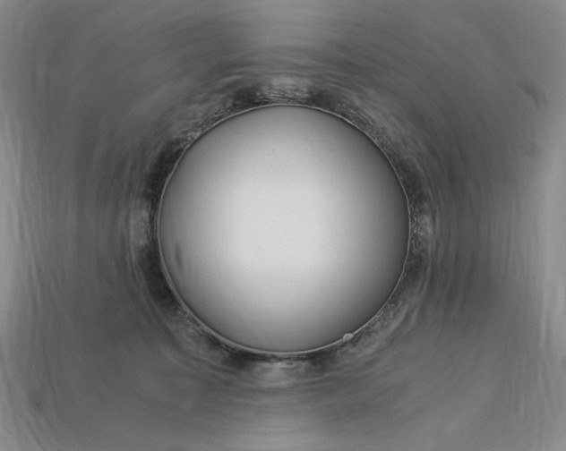 X0000112900323200909111530