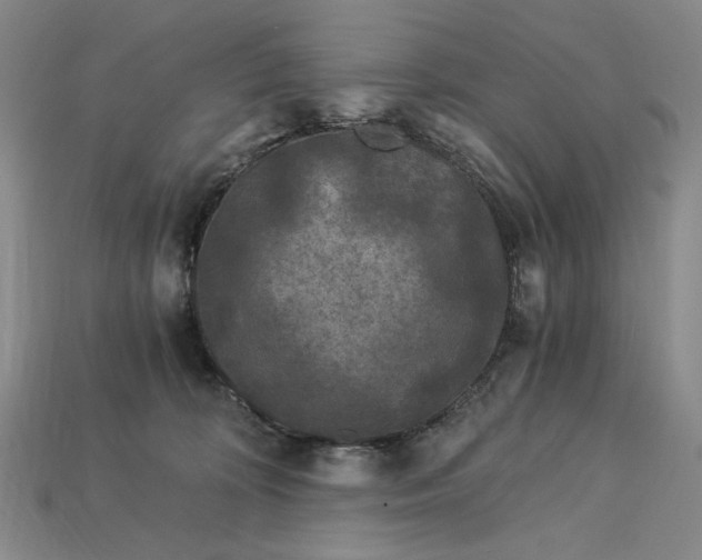 X0000112900324200909111530