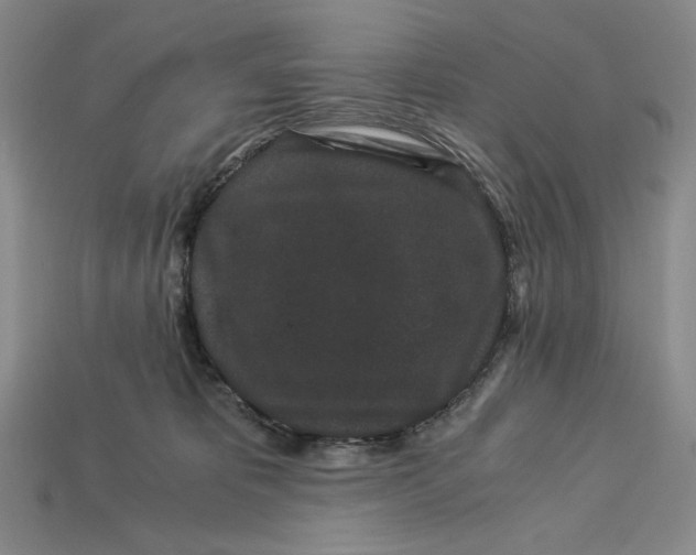X0000112900325200909111530