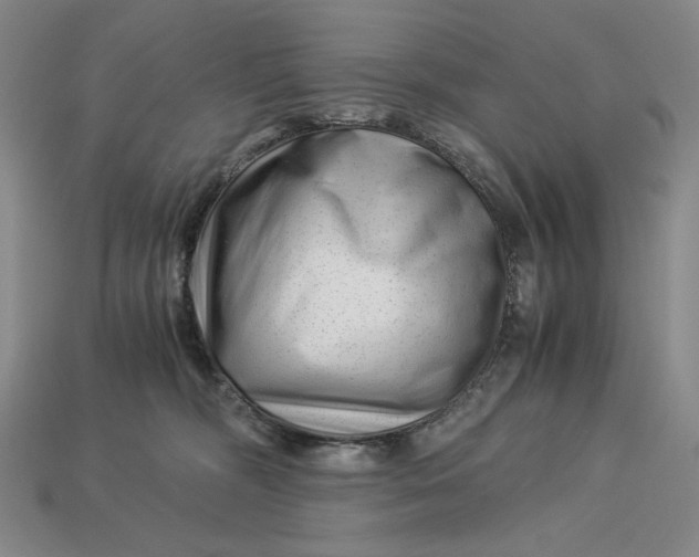 X0000112900326200909111530