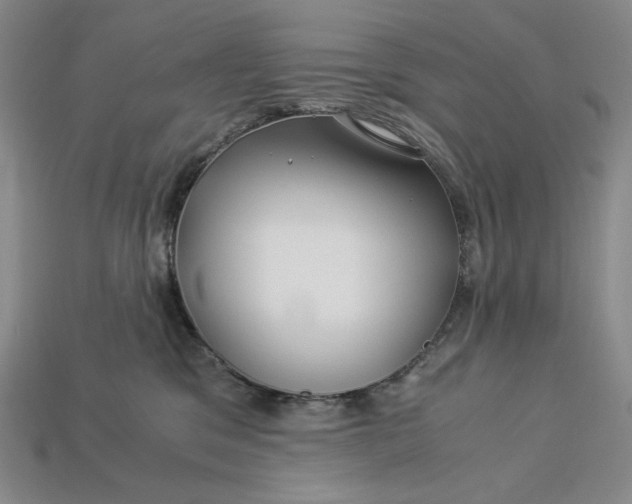 X0000112900329200909111530