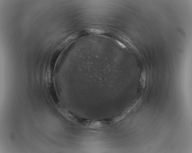 X0000112900330200909111530