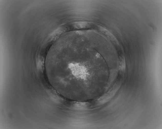 X0000112900332200909111530